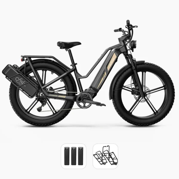 Fido Titan Robust Cargo Electric Bike - Image 7