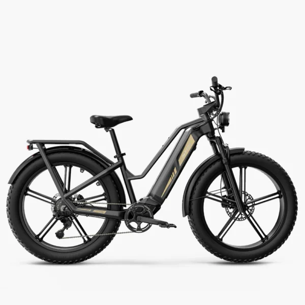 Fido Titan Robust Cargo Electric Bike