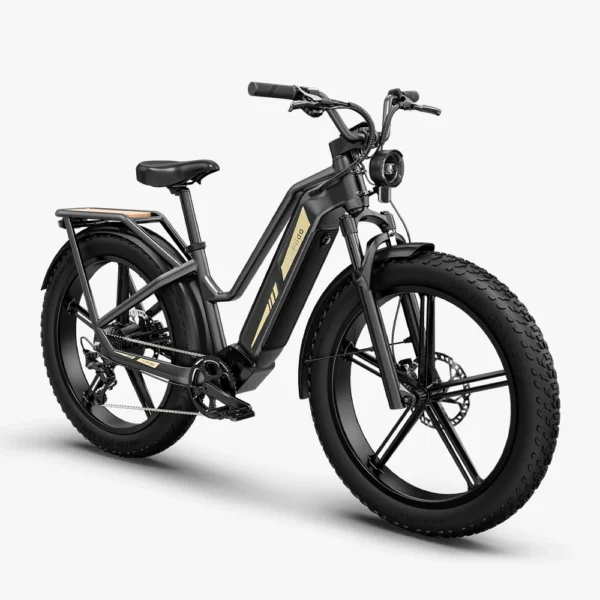 Fido Titan Robust Cargo Electric Bike - Image 5