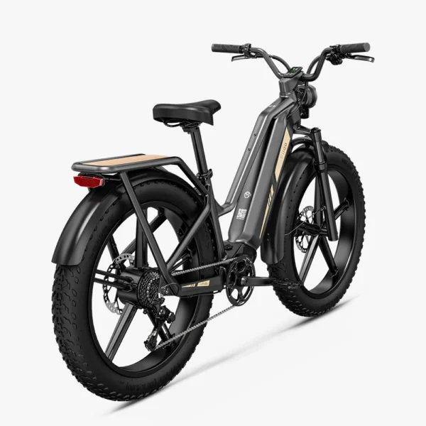 Fido Titan Robust Cargo Electric Bike - Image 4