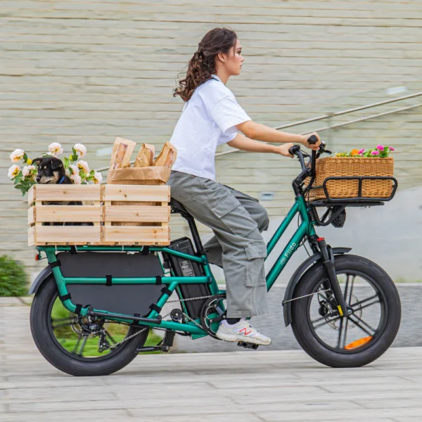 Fido T2 Longtail Cargo E-bike - Image 2